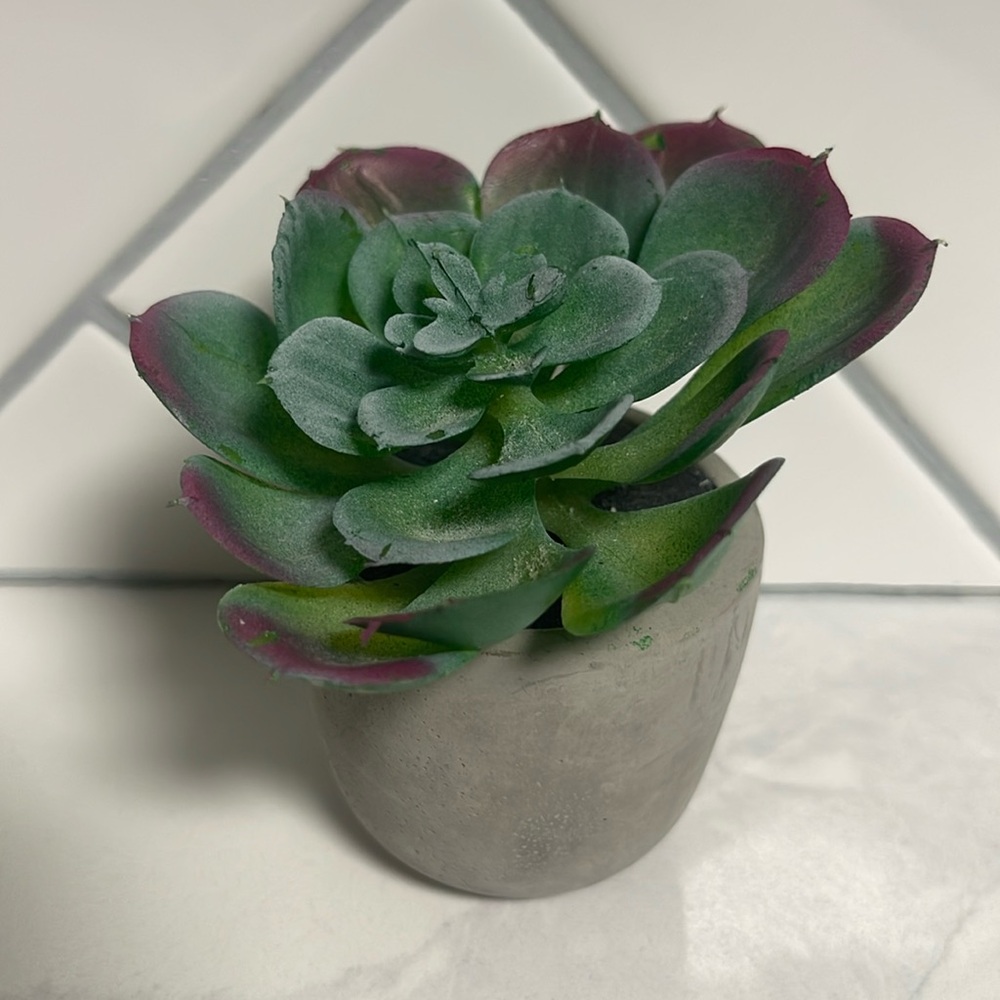 Small Faux Succulent